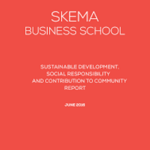 Yep Skema : définition et rôle du portail
