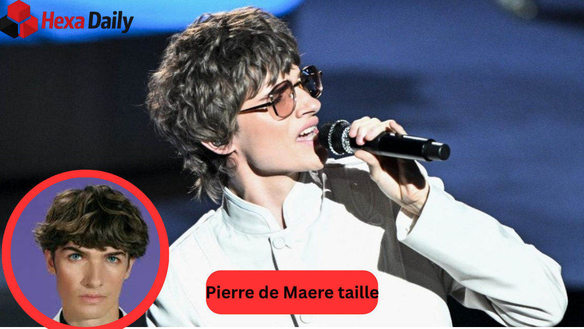 Pierre de Maere taille pierre de maere taille