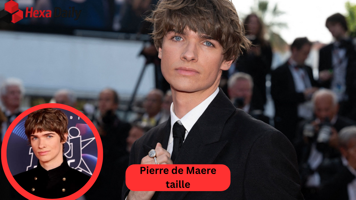 pierre de maere taille